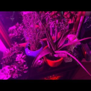 Meet your Posher, Khadijah